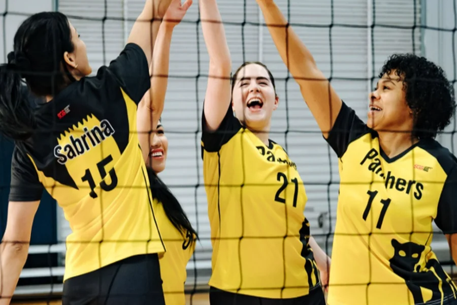 Volleyball