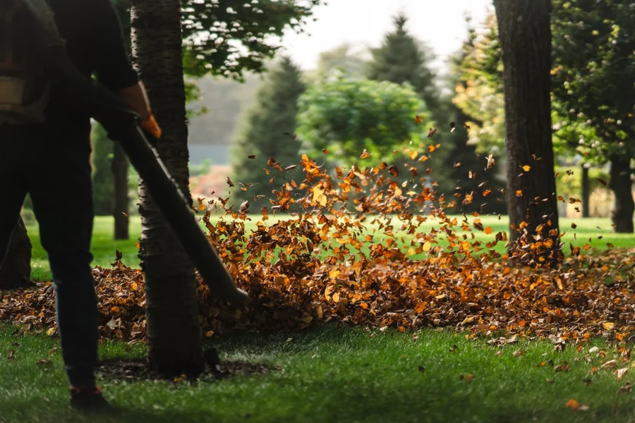 Lawn Care