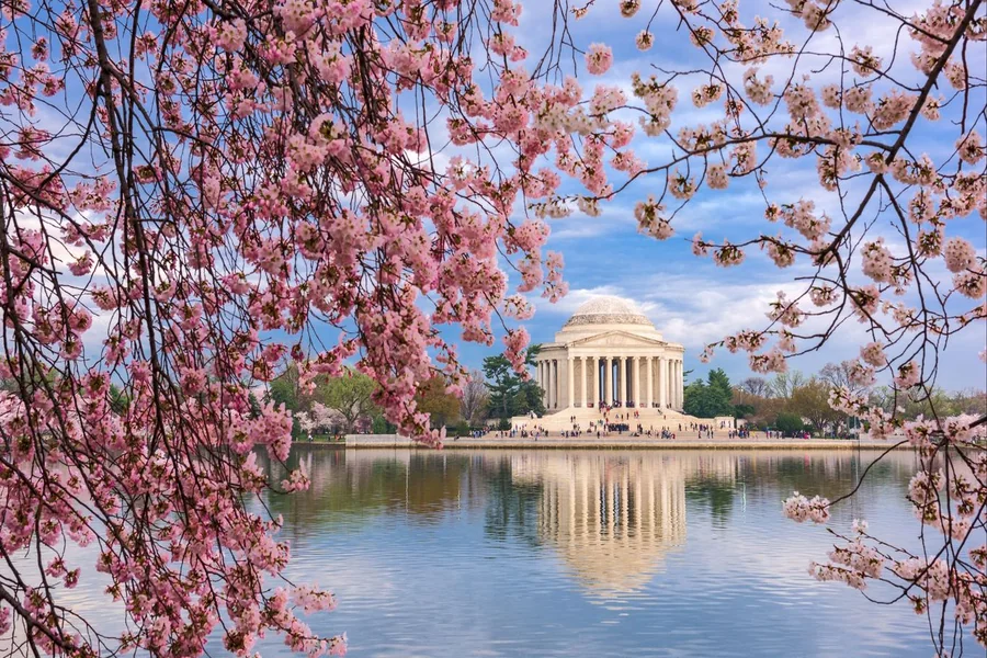 raleigh to washington dc